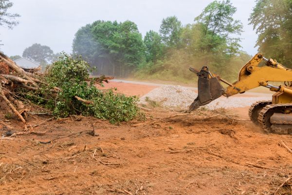 Ground Clearing in Lebanon
