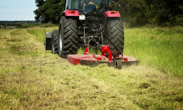 Brush Clearing Service in Lebanon