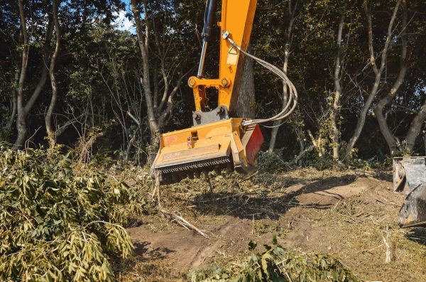 Brush Removal Service in Lebanon
