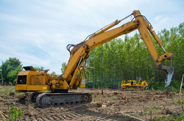 Farm Clearing in Lebanon