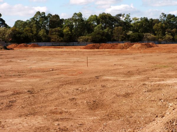 Field Clearing in Lebanon