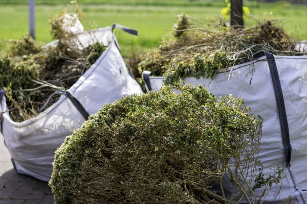 Bushes Clearing in Lebanon